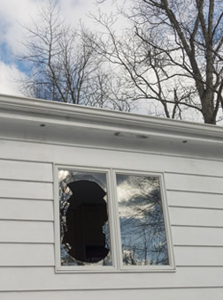 broken-window-vandalized-house-bird-flight-48705831