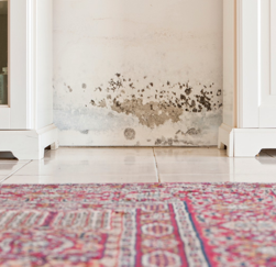 Mold on a hallway in a Longview home